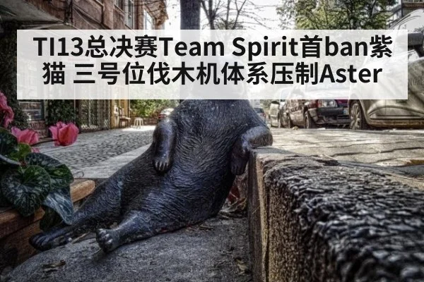 TI13总决赛Team Spirit首ban紫猫 三号位伐木机体系压制Aster
